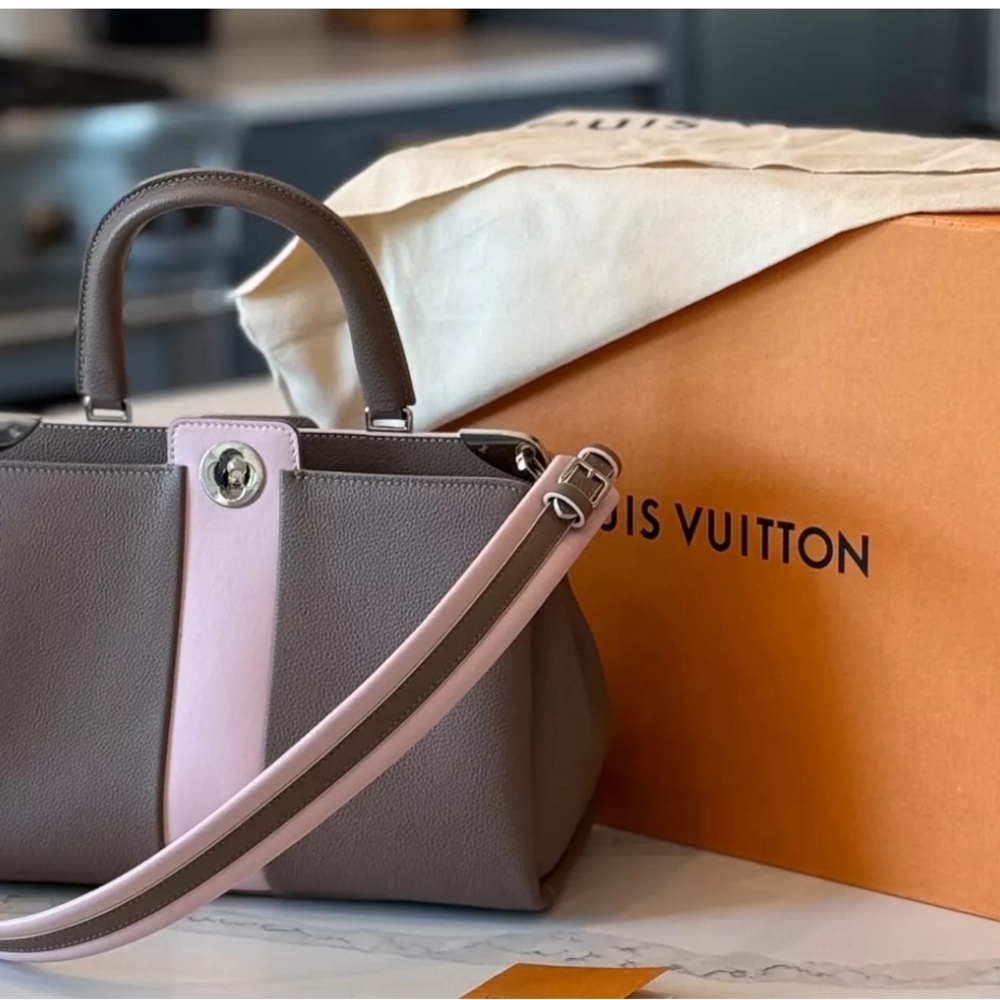 Louis Vuitton Astrid Calfskin Leather Bag - Picture 4 of 12